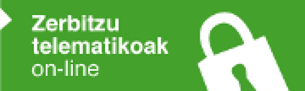 Zerbitzu telematikoak