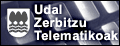 zerbitzu telematikoak