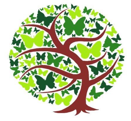 MAKROBIOTIKA IKASTAROAK