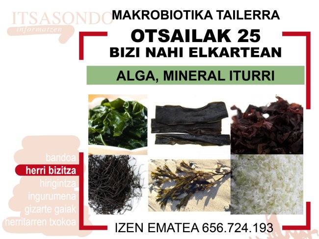 MAKROBIOTIKA TAILERRA