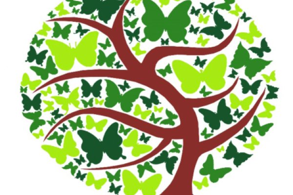 MAKROBIOTIKA IKASTAROAK