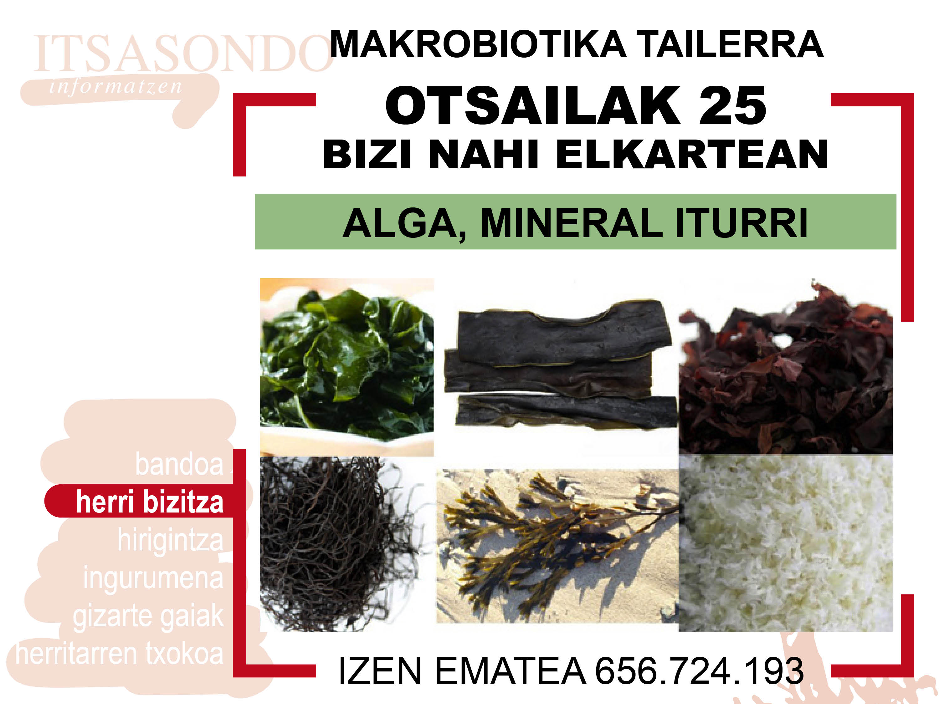 MAKROBIOTIKA TAILERRA